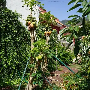 https://casa-rural-en-tenerife.tenerifehoteles.net